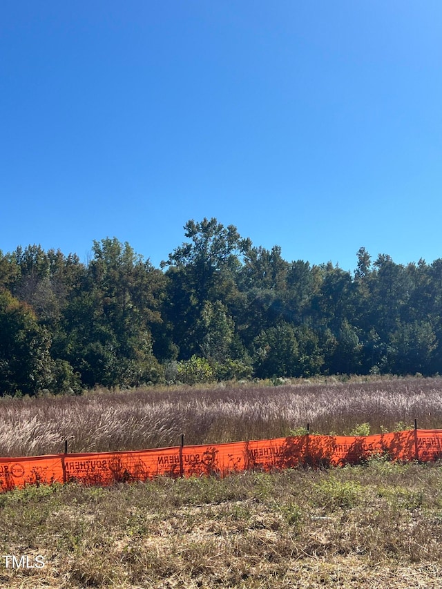 view of yard featuring a rural view