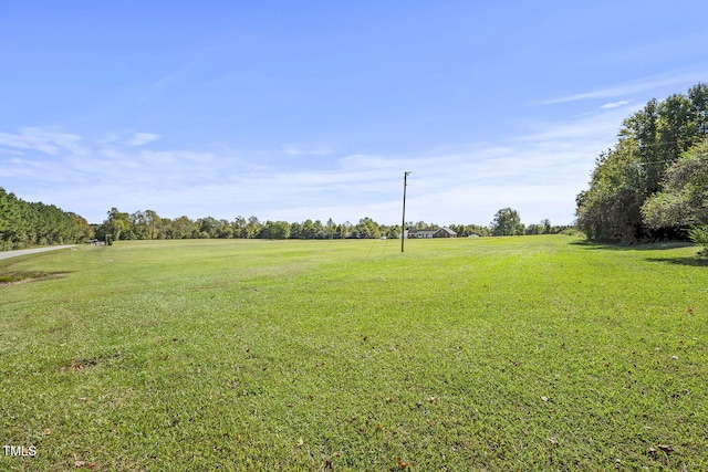 2554 Davis Mill Rd, Fremont, NC 27830 - view of green lawn