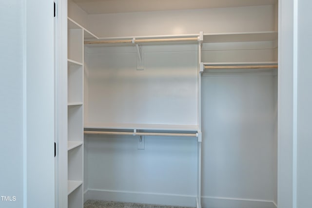 view of spacious closet