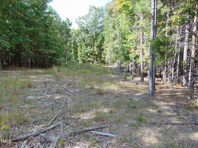 Listing photo 2 for 0 Tungsten Mine Rd, Bullock NC 27507