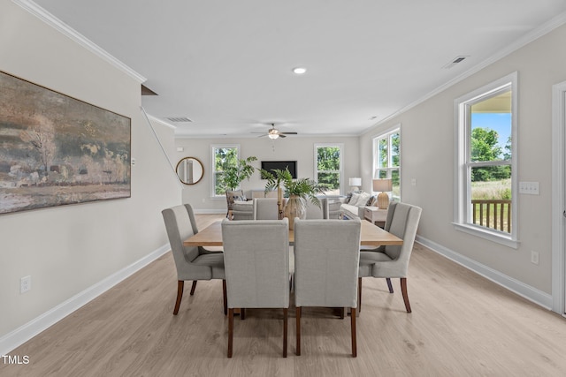 15 Diamond Creek Dr, Zebulon, NC 27597 - dining space with light wood-type flooring, crown molding, plenty of natural light, and a ceiling fan