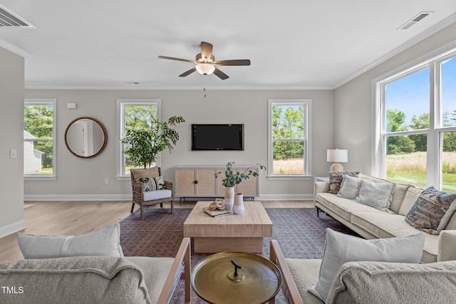 15 Diamond Creek Dr, Zebulon, NC 27597 - living area featuring ornamental molding, healthy amount of natural light, wood finished floors, and a ceiling fan