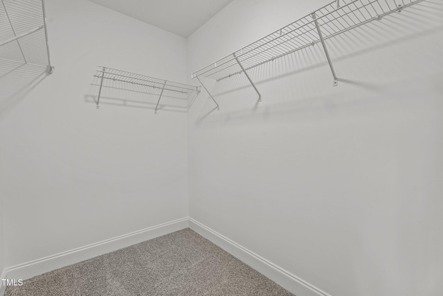 15 Diamond Creek Dr, Zebulon, NC 27597 - walk in closet with carpet flooring