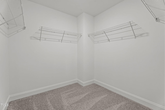 15 Diamond Creek Dr, Zebulon, NC 27597 - walk in closet with carpet floors