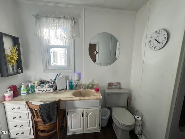 bathroom featuring vanity, toilet, and crown molding