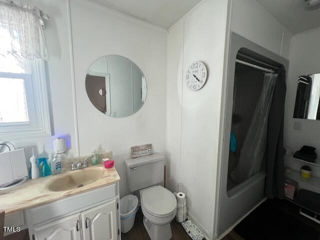 bathroom featuring crown molding, vanity, and toilet