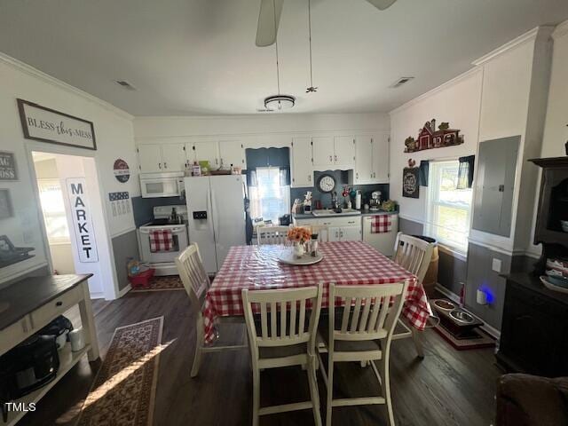 interior space with ceiling fan and dark hardwood / wood-style floors