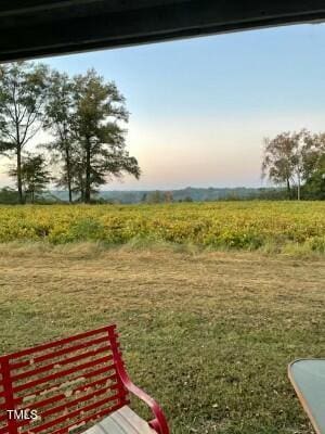 yard at dusk with a rural view