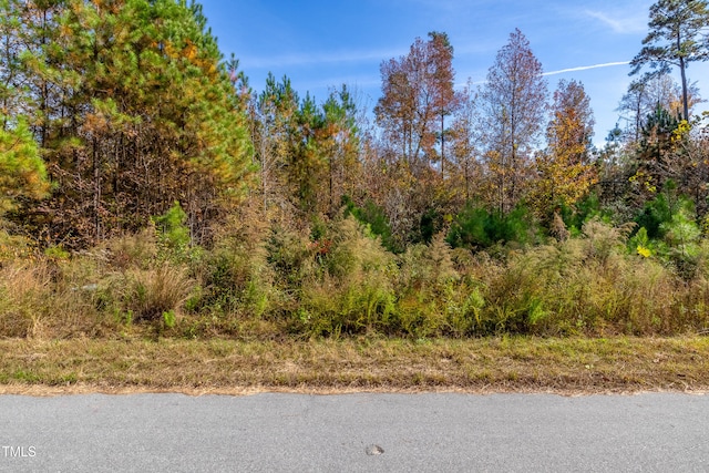 253 Riverine Dr, Pittsboro NC, 27312 land for sale