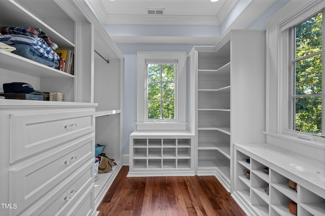 spacious closet featuring dark hardwood / wood-style flooring