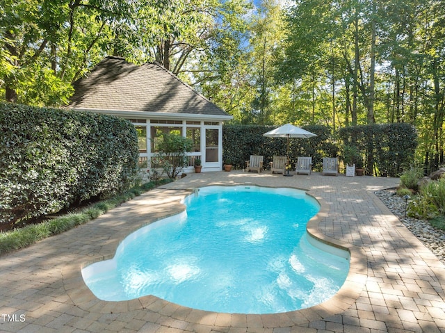 view of swimming pool with a patio area