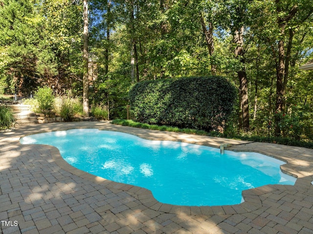 view of swimming pool with a patio