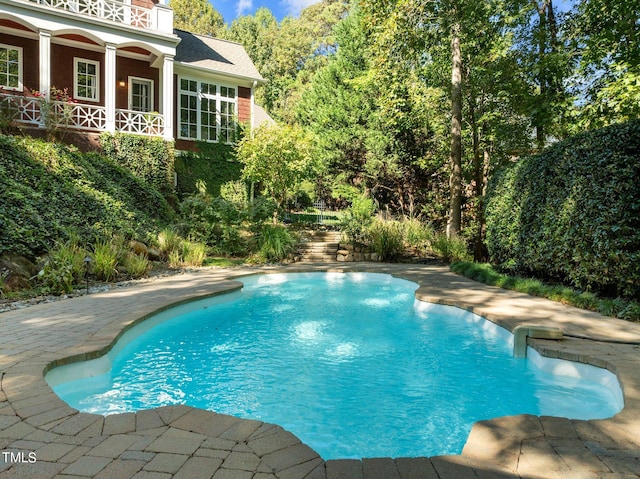 view of pool featuring a patio