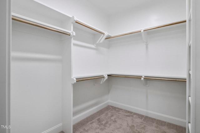 spacious closet featuring light carpet