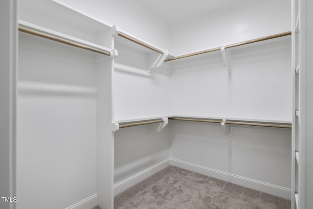 spacious closet with carpet flooring