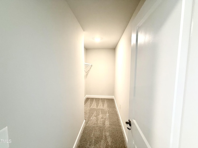 walk in closet featuring carpet floors