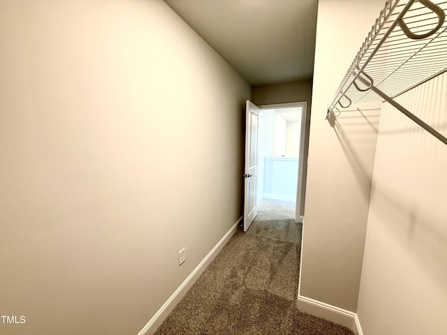 walk in closet featuring carpet