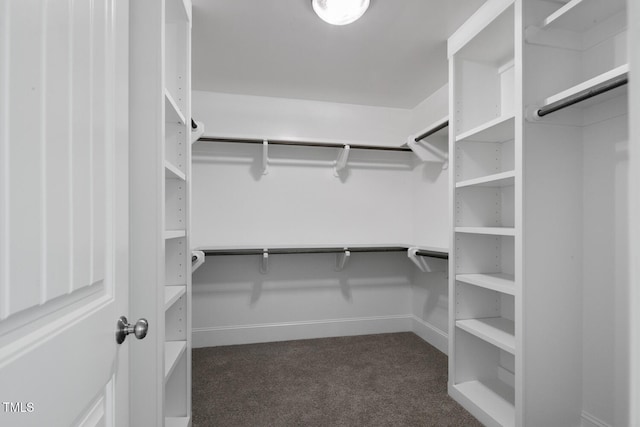 spacious closet featuring dark colored carpet