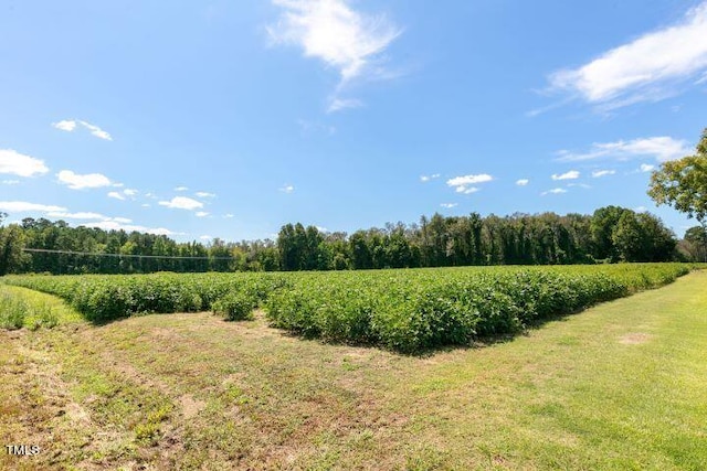 view of yard with a rural view