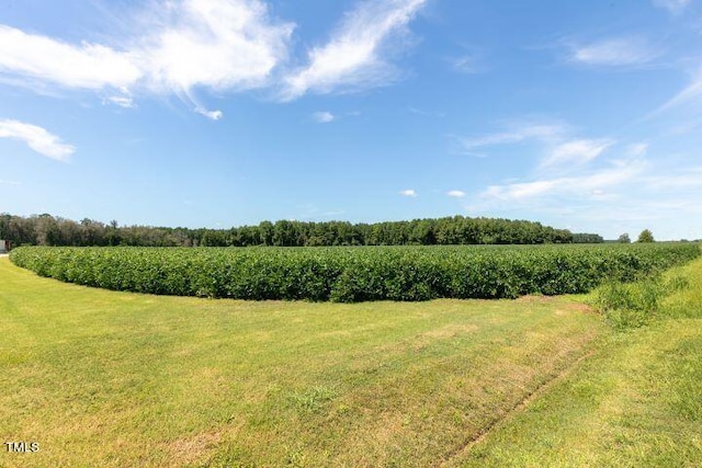 view of nature featuring a rural view