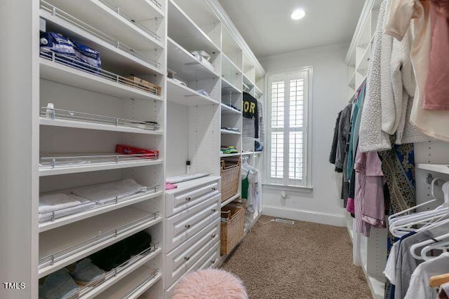 spacious closet featuring carpet flooring