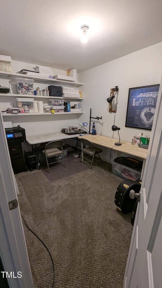 view of carpeted home office