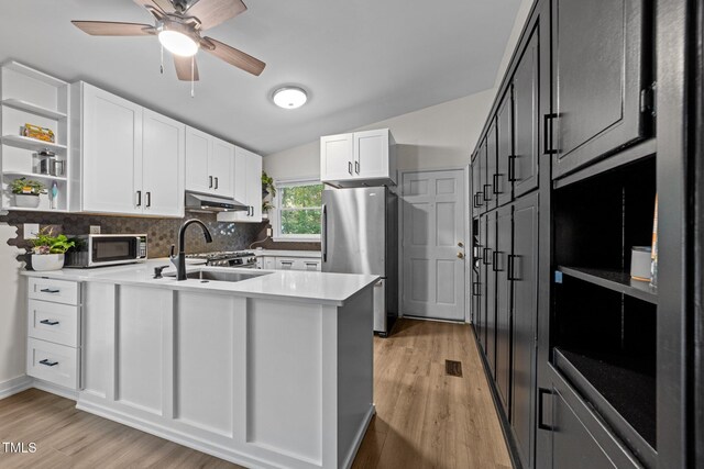6125 Bellow St, Raleigh, NC 27609 - kitchen featuring stainless steel appliances, a sink, under cabinet range hood, a peninsula, and light wood-type flooring