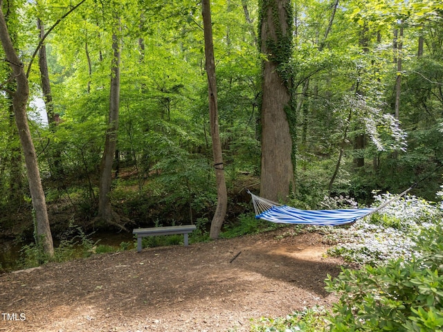 6125 Bellow St, Raleigh, NC 27609 - view of yard with a forest view