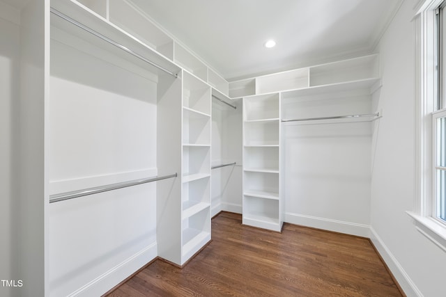 walk in closet featuring dark hardwood / wood-style flooring