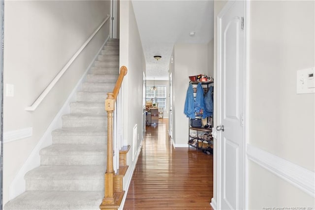 staircase with hardwood / wood-style floors