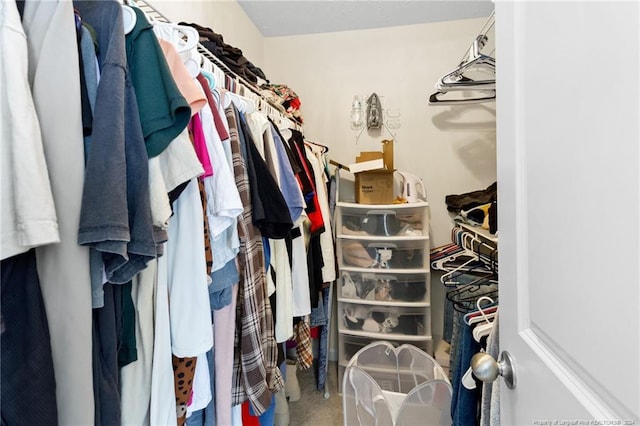 spacious closet with carpet floors