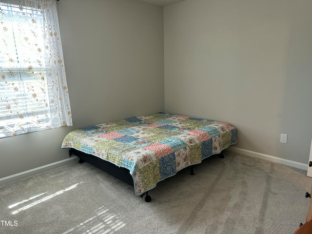 bedroom with carpet