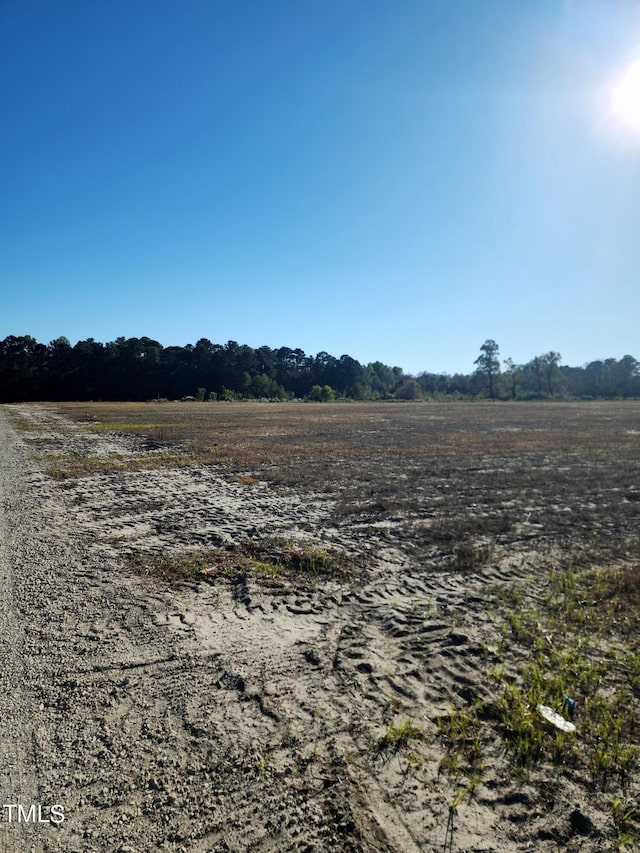 LOT3 Tart Town Rd, Dunn, NC 28334 - photo 2