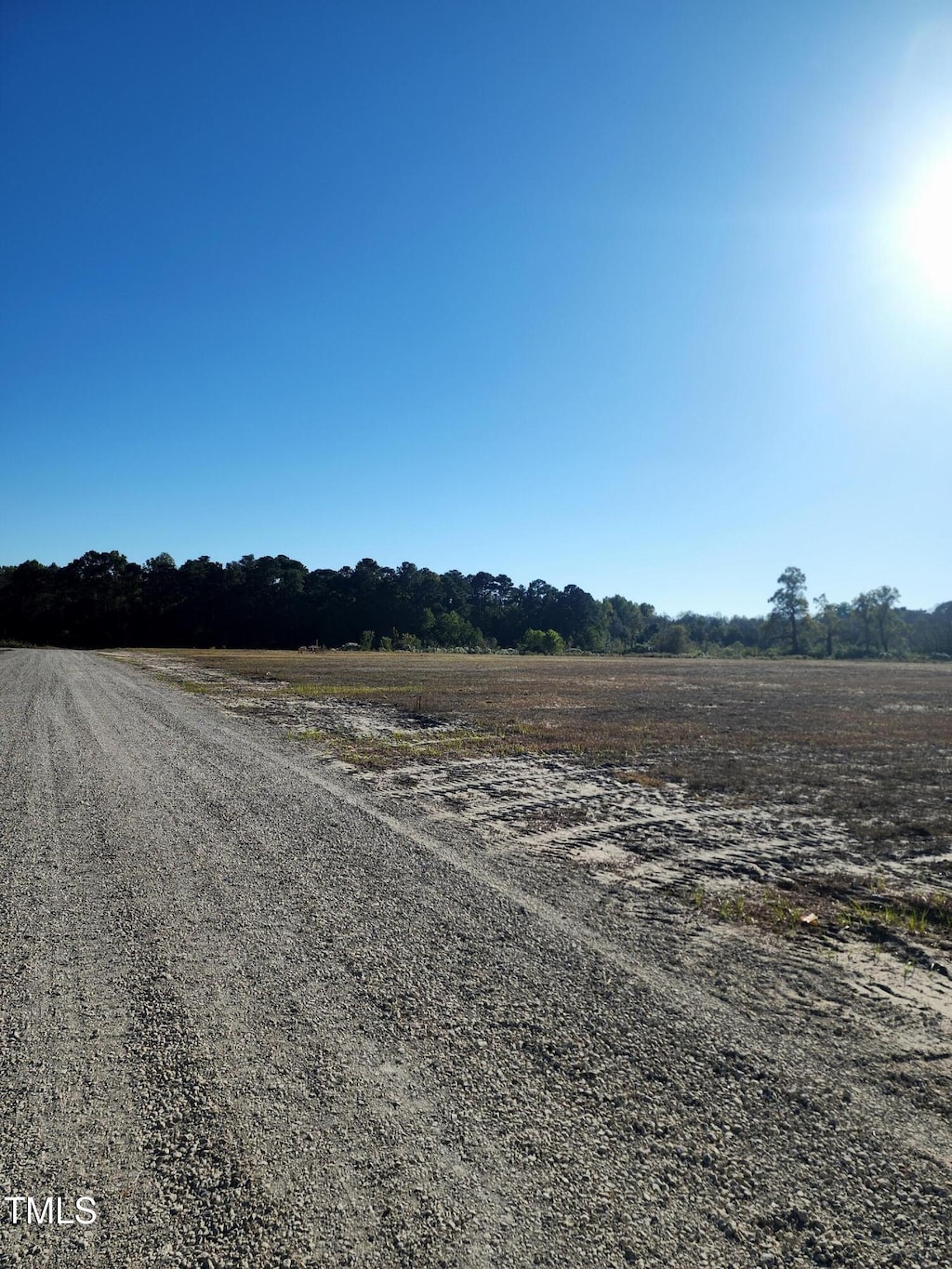 LOT3 Tart Town Rd, Dunn, NC 28334 - photo 1