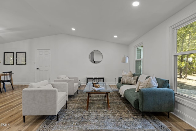 living room with lofted ceiling and wood-type flooring