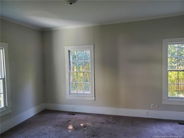 spare room with ornamental molding, a healthy amount of sunlight, and dark colored carpet