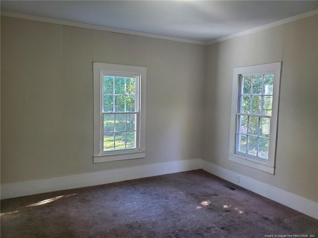 carpeted spare room featuring ornamental molding