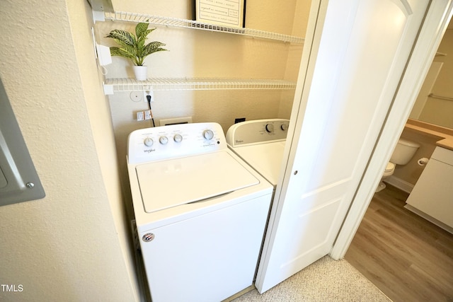 clothes washing area featuring a textured wall, laundry area, and light wood-style flooring