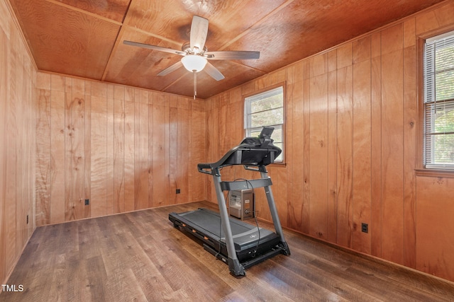 435 Tant Rd, Zebulon, NC 27597 - workout room featuring wood finished floors, a ceiling fan, wood ceiling, and wood walls
