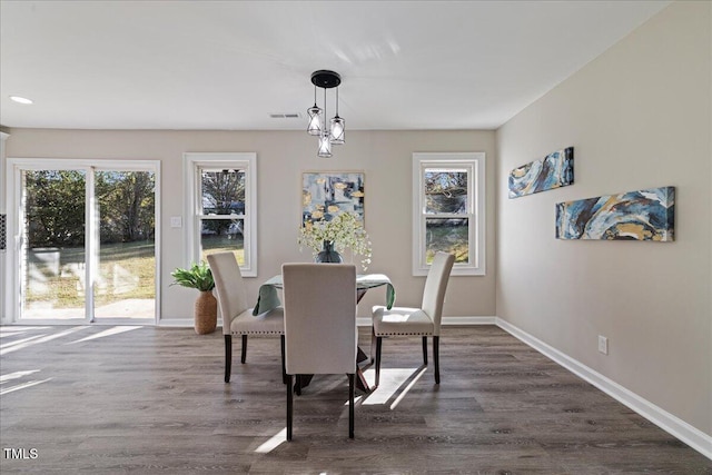 dining room with dark hardwood / wood-style floors