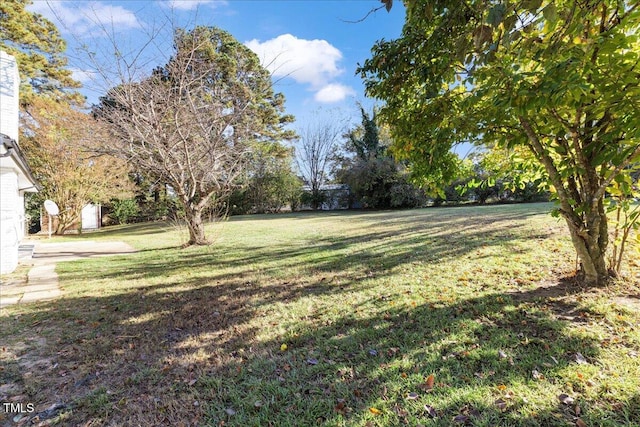 view of yard