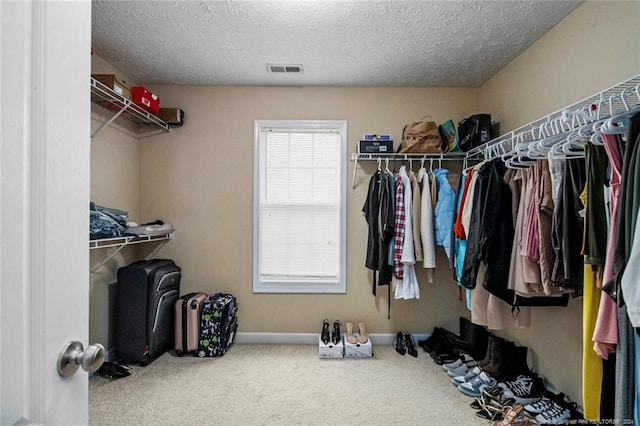 spacious closet featuring carpet