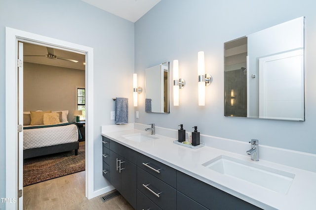 bathroom with hardwood / wood-style floors and vanity