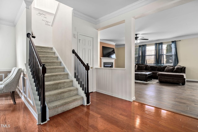 stairs featuring crown molding, ceiling fan, and hardwood / wood-style flooring