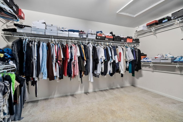 walk in closet featuring carpet