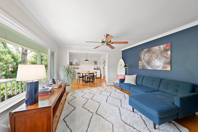 living room with crown molding, a healthy amount of sunlight, and light wood-type flooring