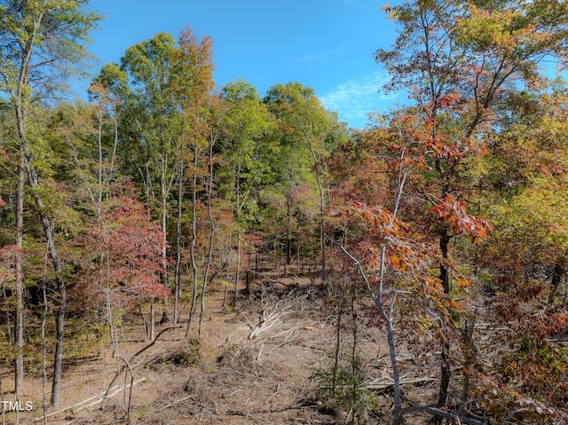 0000 Olivia Pope Way, Efland, NC 27243