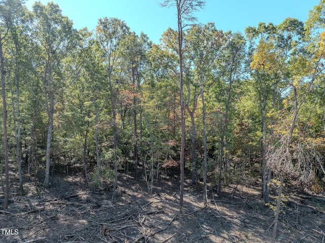 0000 Olivia Pope Way, Efland, NC 27243