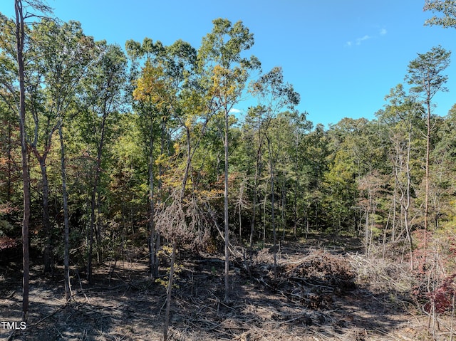 0000 Olivia Pope Way, Efland, NC 27243