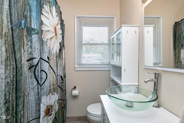 bathroom with toilet and vanity